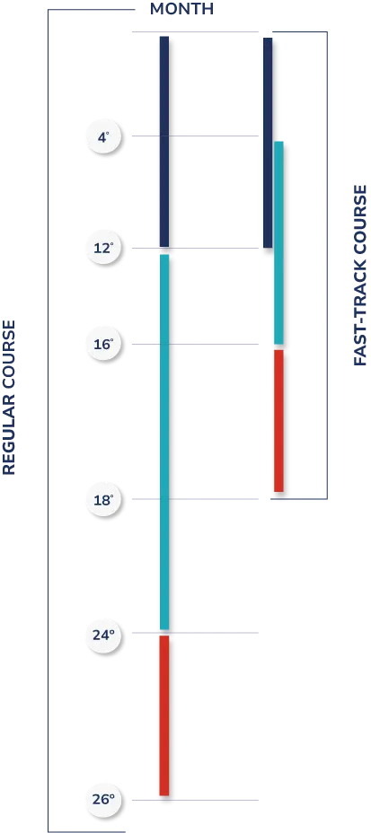 airline pilot timeline